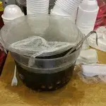 Chin Chow w Longan