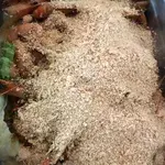 Fragrance Crispy Cereal Prawn