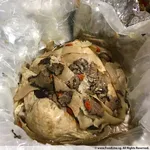 Nourishing Double Boiled Herbal Chicken with Morel Mushroom