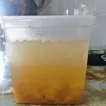 Crystal Ice Jelly w Peach & Coral Seaweed