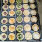 Mini Fruit Tart