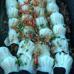 Steamed Shrimp Har Gao 蒸虾饺