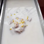芋泥椰浆 Yam Paste w/ Coconut milk