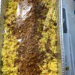 泰式黄梨炒饭 Thai Style Pineapple Rice