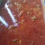Curry Chicken • 咖哩鸡(Chef's Recommended)