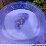 芋泥椰浆 Yam Paste w/ Coconut milk