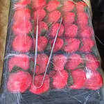 Happiness Ang Ku Kuehs