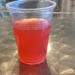 Fruit Punch • 果汁水