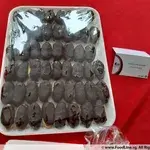 Chocolate Eclair