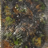 Click to see Mushroom Broccoli 香菇西兰花