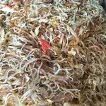 Fried Tang Hoon • 干炒冬粉