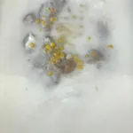 芋泥椰浆 Yam Paste w/ Coconut milk 
