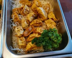 Pan Fried Vegetarian Japanese Gyoza | Customer Photo | Spark and Flame Catering (The Flame Cafe N Spark Restaurant)