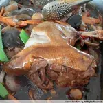 海参烩扒鸭 Braised Duck w/ Sea Cucumber
