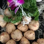 Golden Sotong Ball
