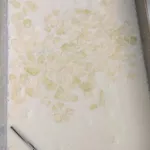Honeydew Sago