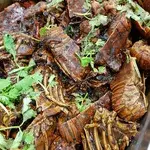 Black Pepper Slipper Lobster (crayfish)