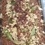 星州米粉 Fried Bee Hoon