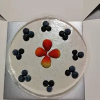 Click to see Blueberry Yogurt (Size: 1 kg)