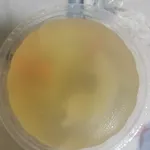 Trial Tingkat - 3 Dishes + 1 soup/ 4 Dishes (5 days)