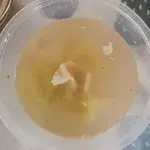 Tingkat Menu (10 Days Trial)