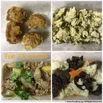 Tingkat Menu (20 Days) in Microwavable Container