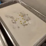 Honeydew Sago 蜜瓜西米露