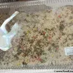 虾仁炒饭 Fried Rice w/ Shrimp
