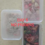 Balanced Tingkat Series - 5 Days TRIAL Promo (2 Dishes 1 Soup / 3 Dishes) *FIRST TIME* only