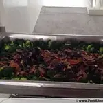 香菇西兰花 Broccoli w/ Chinese Mushroom