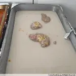 Yam Paste w/ Coconut Milk •芋泥椰浆(Chef's Recommended)