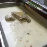 芋泥椰浆 Yam Paste w/ Coconut milk