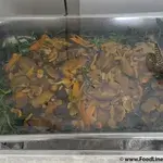 蚝油青菜 Green Vegetable w/ Mushroom