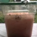 Royal Crystal Jelly
