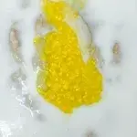 芋泥椰浆 Yam Paste w/ Coconut milk