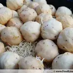 Cuttlefish Ball