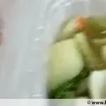 Lunch Tingkat (20 Day, 3 Dishes + Soup OR 4 Dishes)