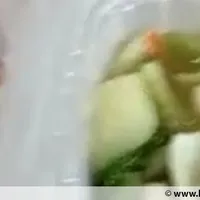 Click to see Lunch Tingkat (20 Day, 3 Dishes + Soup OR 4 Dishes)