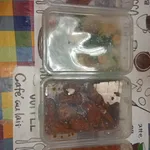 10 days Trial Package