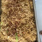 Seafood Ee Fu Mee
