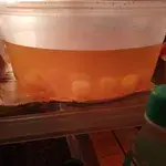 Sea Coconut with Longan