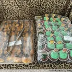35pcs – Safari Theme Cupcake