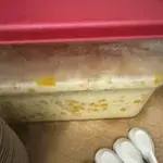 Chilled Mango Sago