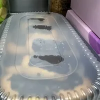 Click to see Mini Chocolate Éclair 迷你巧克力泡芙