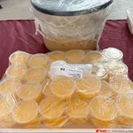 Mango Pudding