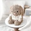 Click to see more photos of Jellycat Inspired Bunny Cake