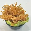 Click to see more photos of Fried Enoki