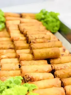 Crispy Vegetable Spring Roll 酥脆蔬菜春卷 | Premium Catering Private Ltd