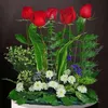 Click to see more photos of RR051: 6 Red Roses Small Table Arrangement