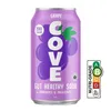 Click to see more photos of Grape Probiotics Soda